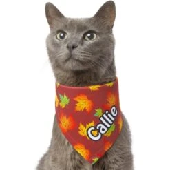 Frisco Fall Leaves Personalized Dog & Cat Bandana -Frisco 296994 PT7. AC SS1800 V1627655275