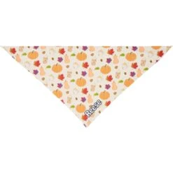 Frisco Pumpkin Spice Personalized Dog & Cat Bandana -Frisco 296998 PT3. AC SS1800 V1627654117