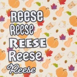 Frisco Pumpkin Spice Personalized Dog & Cat Bandana -Frisco 296998 PT4. AC SS1800 V1627655195