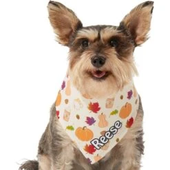 Frisco Pumpkin Spice Personalized Dog & Cat Bandana -Frisco 296998 PT6. AC SS1800 V1627654408