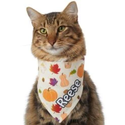 Frisco Pumpkin Spice Personalized Dog & Cat Bandana -Frisco 296998 PT7. AC SS1800 V1627654273