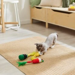 Frisco Brunch Bottomless Mimosas Plush Cat Toy With Catnip, 3 Count 7 Frisco Brunch Bottomless Mimosas Plush Cat Toy With Catnip, 3 Count -Frisco 297288 PT2. AC SS1800 V1642088553