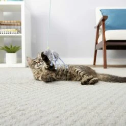 PureBites Chicken Breast Freeze-Dried Raw Cat Treats & Frisco Bouncy Mouse Plush Teaser Cat Toy With Catnip 13 PureBites Chicken Breast Freeze-Dried Raw Cat Treats & Frisco Bouncy Mouse Plush Teaser Cat Toy With Catnip -Frisco 298414 PT5. AC SS1800 V1623194253