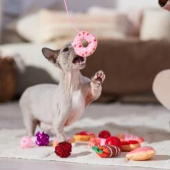 Frisco Valentine Variety Pack Cat Toy With Catnip, 13 Count -Frisco 298966 PT3. AC SS1800 V1701364858