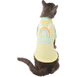 Frisco Hipster Hopster Dog & Cat T-Shirt -Frisco 300638 PT2. AC SS1800 V1641538001