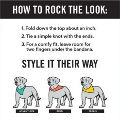 Frisco Fair Isle Personalized Dog & Cat Bandana -Frisco 301357 PT2. AC SS1800 V1623274656