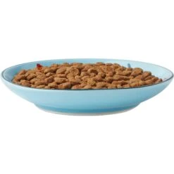 Frisco New York Non-skid Ceramic Cat Dish & Frisco New York Non-skid Ceramic Cat Bowl 13 Frisco New York Non-skid Ceramic Cat Dish & Frisco New York Non-skid Ceramic Cat Bowl -Frisco 302488 PT2. AC SS1800 V1623059244