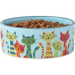 Frisco New York Non-skid Ceramic Cat Dish & Frisco New York Non-skid Ceramic Cat Bowl 17 Frisco New York Non-skid Ceramic Cat Dish & Frisco New York Non-skid Ceramic Cat Bowl -Frisco 302488 PT6. AC SS1800 V1623041543
