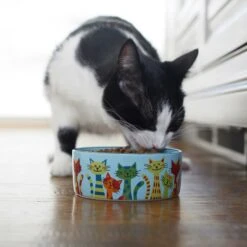 Frisco New York Non-skid Ceramic Cat Dish & Frisco New York Non-skid Ceramic Cat Bowl 19 Frisco New York Non-skid Ceramic Cat Dish & Frisco New York Non-skid Ceramic Cat Bowl -Frisco 302488 PT8. AC SS1800 V1623091056