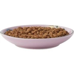 Frisco Paris Non-skid Ceramic Cat Dish & Frisco Paris Non-skid Ceramic Cat Dish -Frisco 302490 PT2. AC SS1800 V1623058041