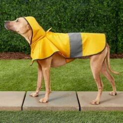 Frisco Lightweight Rainy Days Dog Raincoat & Frisco Lightweight Flamingo Dog Raincoat -Frisco 302828 PT4. AC SS1800 V1623042144