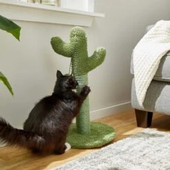 Frisco Cactus Cat Scratching Post & Frisco Dangly Avocado Buddy Plush Cat Toy With Catnip -Frisco 303380 PT3. AC SS1800 V1623081149