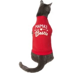 Frisco Mama's Bestie Dog & Cat T-Shirt 11 Frisco Mama's Bestie Dog & Cat T-Shirt -Frisco 312056 PT2. AC SS1800 V1644425822