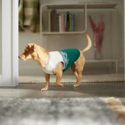 Frisco Tropical Palm Dog & Cat T-Shirt -Frisco 312072 PT8. AC SS1800 V1644425897