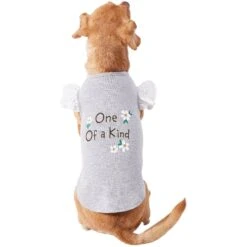 Frisco One Of A Kind Dog & Cat T-Shirt -Frisco 312080 PT3. AC SS1800 V1673303002