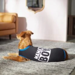 Frisco Mama's Boy Dog & Cat T-Shirt -Frisco 312088 PT5. AC SS1800 V1673361675