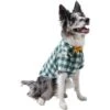 Frisco Boho Plaid Dog & Cat Shirt