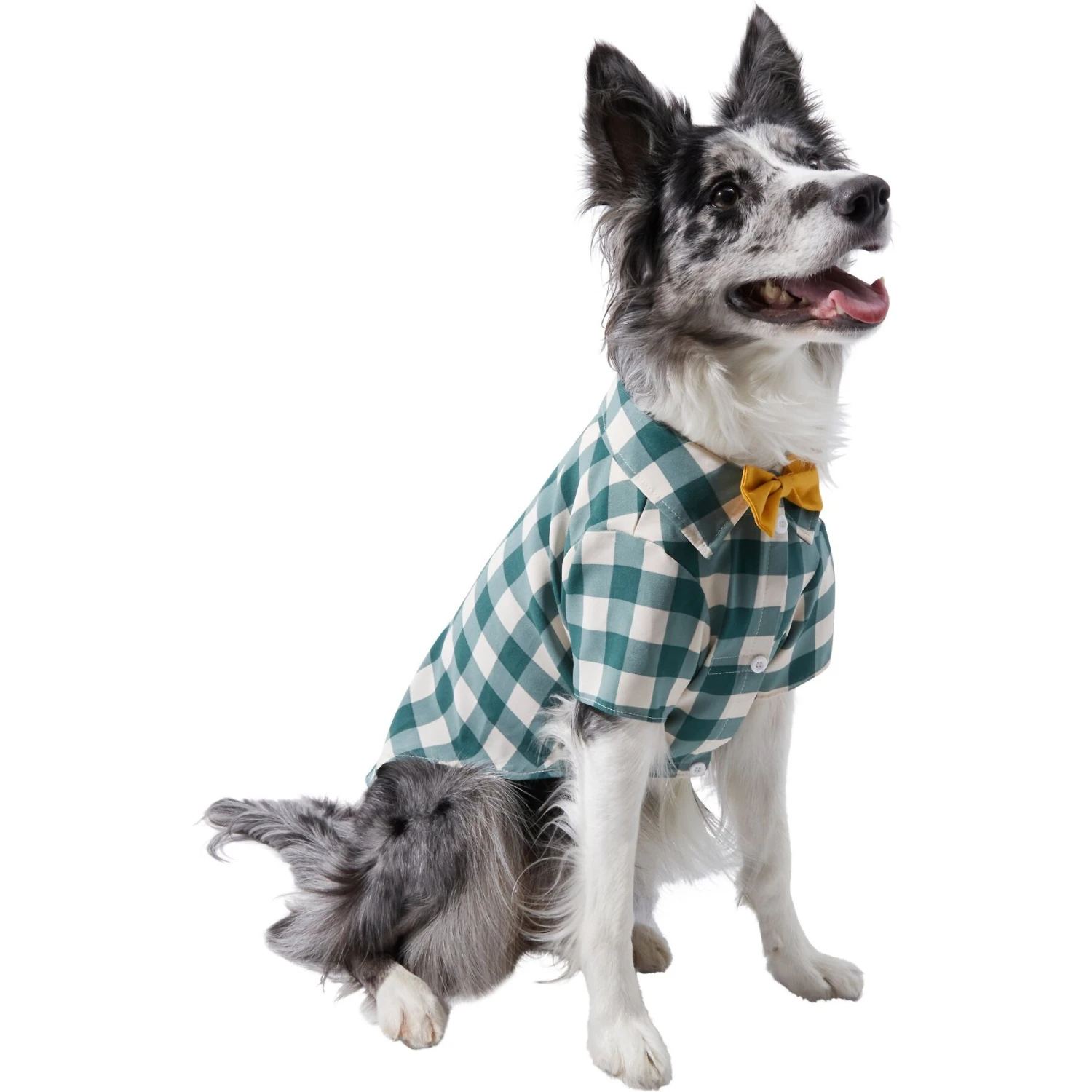 Frisco Boho Plaid Dog & Cat Shirt 3 Frisco Boho Plaid Dog & Cat Shirt