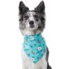 Frisco Spring Floral Dog & Cat Bandana -Frisco 312294 MAIN. AC SS1800 V1644879397