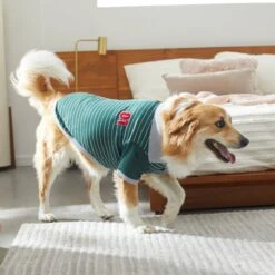 Frisco Green Rugby Dog & Cat Polo Shirt -Frisco 315084 PT8. AC SS1800 V1646436749