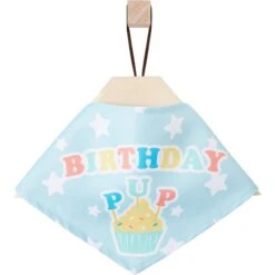 Frisco Birthday Pup Dog & Cat Bandana -Frisco 315130 PT4. AC SS1800 V1646441905