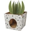 Frisco Potted Succulent Cardboard Cat House 2 Frisco Potted Succulent Cardboard Cat House -Frisco 317723 MAIN. AC SS1800 V1688677259