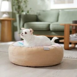 Frisco Cat Donut Bed