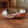 Frisco Calico Cat Design Adjustable Cat Bolster Bed 1 Frisco Calico Cat Design Adjustable Cat Bolster Bed -Frisco 333860 MAIN. AC SS1800 V1658718002