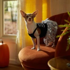 Frisco Silver Metallic Skull Dog & Cat Dress -Frisco 335154 PT7. AC SS1800 V1657663214