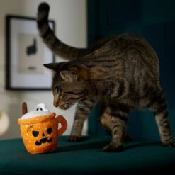 Frisco Halloween Spooky Pumpkin Spice Latte Plush Cat Toy With Catnip -Frisco 344080 PT3. AC SS1800 V1657657033