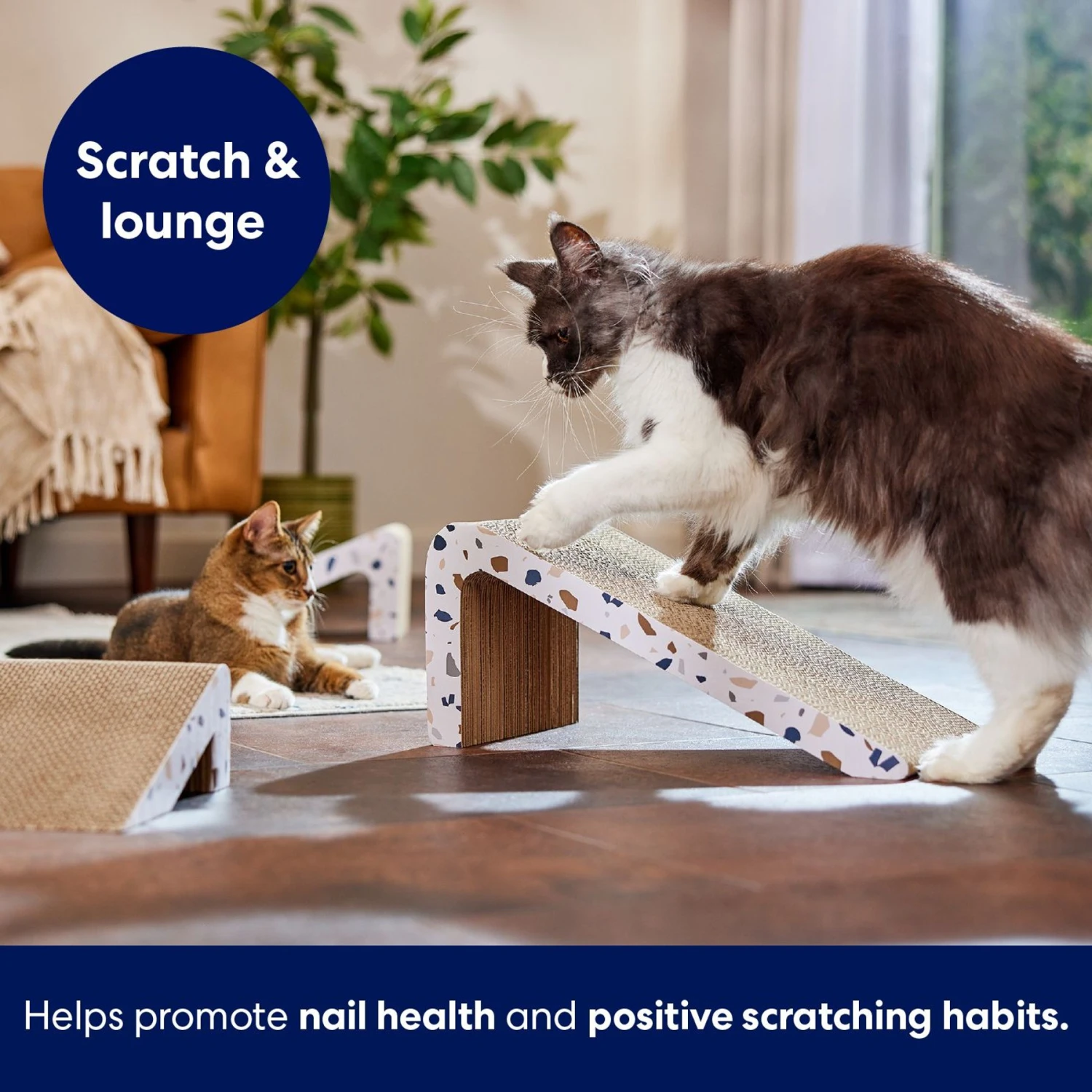 Frisco Nesting Cat Scratcher Toy With Catnip, Modern Terrazzo 5 Frisco Nesting Cat Scratcher Toy With Catnip, Modern Terrazzo - Image 3