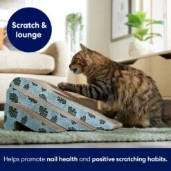 Frisco Nesting Cat Scratcher Toy With Catnip, Tropical Paradise -Frisco 347215 PT3. AC SS1800 V1659699261