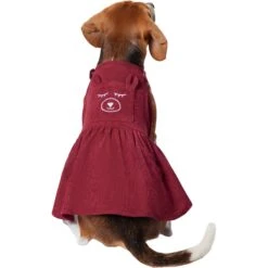 Frisco Sleepy Face Dog & Cat Dress -Frisco 353657 PT2. AC SS1800 V1659008189