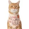 Frisco Cutest Pumpkin In The Patch Dog & Cat Bandana 1 Frisco Cutest Pumpkin In The Patch Dog & Cat Bandana -Frisco 353777 MAIN. AC SS1800 V1659010811
