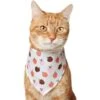 Frisco Apple Dog & Cat Bandana -Frisco 353786 MAIN. AC SS1800 V1659011013