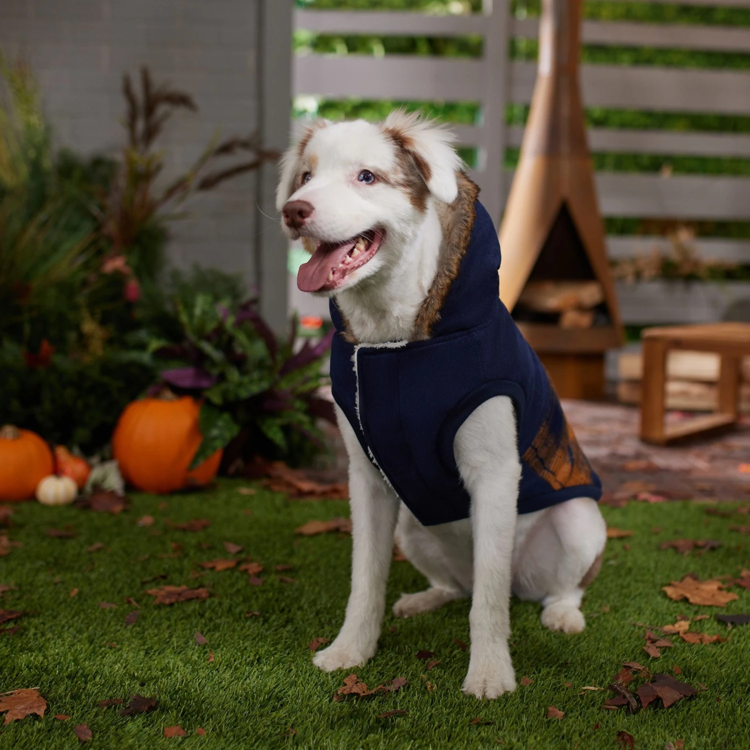 Frisco Mid-Heavyweight Plaid Fleece Lined Dog & Cat Coat 8 Frisco Mid-Heavyweight Plaid Fleece Lined Dog & Cat Coat - Image 6