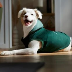 Frisco Lightweight Classic Dog & Cat Coat -Frisco 353901 PT7. AC SS1800 V1660749440