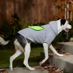 Frisco Dog & Cat Hoodie With Removable Fanny Pack -Frisco 353965 PT7. AC SS1800 V1660749475
