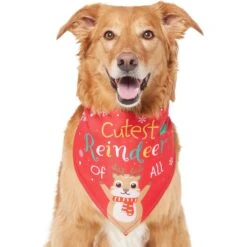 Frisco Cutest Reindeer Of All Dog & Cat Bandana -Frisco 357931 PT2. AC SS1800 V1660756046