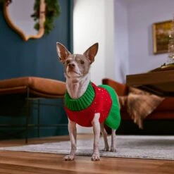 Frisco Penguin Dog & Cat Sweater Dress -Frisco 358207 PT7. AC SS1800 V1661889744