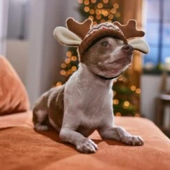 Frisco Antler Fair Isle Dog & Cat Hat 12 Frisco Antler Fair Isle Dog & Cat Hat -Frisco 358313 PT4. AC SS1800 V1661798696