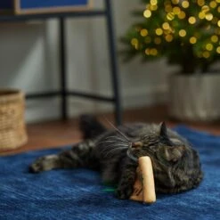 Frisco Holiday Santa's List Plush & Feather Cat Toy With Catnip 8 Frisco Holiday Santa's List Plush & Feather Cat Toy With Catnip -Frisco 360895 PT3. AC SS1800 V1661874361