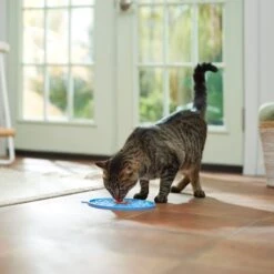 Frisco Non-skid Flower Silicone Dog & Cat Lick Mat, Blue -Frisco 363393 PT3. AC SS1800 V1660750521