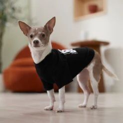 Frisco Big Boss Dog & Cat T-Shirt 14 Frisco Big Boss Dog & Cat T-Shirt -Frisco 368782 PT7. AC SS1800 V1664992675