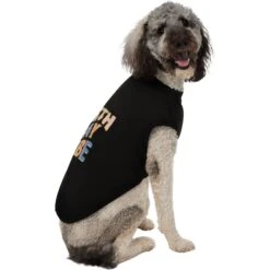 Frisco Birthday Vibe Dog & Cat T-Shirt -Frisco 368790 PT4. AC SS1800 V1669100229