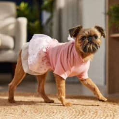 Frisco Tulle Hearts Dog & Cat Dress 19 Frisco Tulle Hearts Dog & Cat Dress -Frisco 371070 PT8. AC SS1800 V1700690505