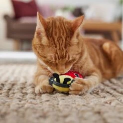 Frisco Valentine Jammin' Ladybug Plush Cat Toy With Catnip 10 Frisco Valentine Jammin' Ladybug Plush Cat Toy With Catnip -Frisco 371081 PT3. AC SS1800 V1668736252