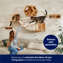 Frisco Cat Silhouette With Bridge Wall Mounted Cat Wall Shelves -Frisco 373441 PT3. AC SS1800 V1675692703