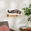 Frisco Cushioned Wall Mounted Cat Wall Shelf -Frisco 373443 MAIN. AC SS1800 V1673025637