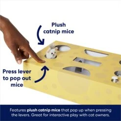 Frisco Cheese Interactive Maze Cardboard Cat Toy Box With Catnip -Frisco 506106 PT3. AC SS1800 V1671551754